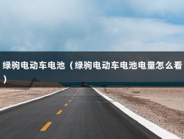 绿驹电动车电池（绿驹电池电量怎么看）