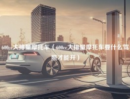 600cc大排量摩托车（600cc大排量摩托车要什么驾照才能开）