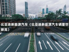 比亚迪新能源汽车（销量创新高）