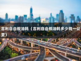 吉利自由舰油耗（吉利自由舰油耗多少钱一公里）