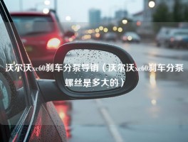 沃尔沃xc60刹车分泵导销（沃尔沃xc60刹车分泵螺丝是多大的）