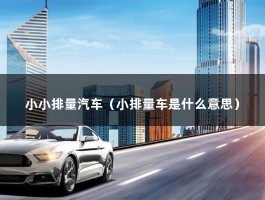 小小排量汽车（小排量车是什么意思）