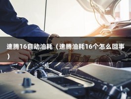 速腾16自动油耗（速腾油耗16个怎么回事）