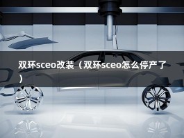 双环sceo改装（双环sceo怎么停产了）