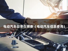 电动汽车目录在哪查（电动汽车信息查询）