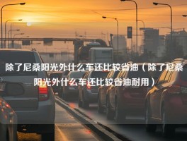 除了尼桑阳光外什么车还比较省油（除了尼桑阳光外什么车还比较省油耐用）