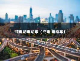 纯电动电动车（2022公认不错的）