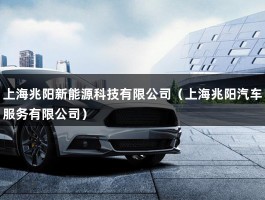 上海兆阳新能源科技有限公司（光伏组件一线二线厂商名单）