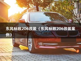 东风标致206改装（东风标致206改装案例）