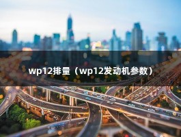 wp12排量（wp12发动机参数）