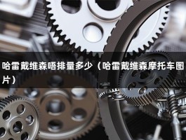 哈雷戴维森唔排量多少（哈雷戴维森摩托车图片）