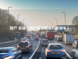 国产 省油（国产省油耐用的家用车）