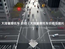 大排量摩托车 价格（大排量摩托车价格及图片）