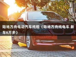 陆地方舟电动汽车纯租（陆地方舟纯电车 新车6万多）