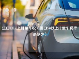 进口5.0以上排量车税（进口5.0以上排量车税率是多少）