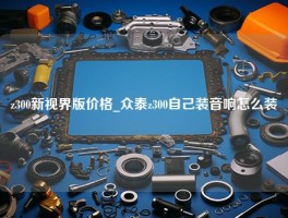 z300新视界版价格_众泰z300自己装音响怎么装