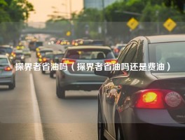 探界者省油吗（探界者省油吗还是费油）