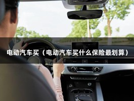 纯电动汽车排行榜前十名（电动汽车买什么保险最划算）