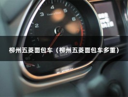 柳州五菱面包车（柳州五菱面包车多重）