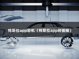 特斯拉app宕机（因断网致特斯拉数百车主被锁车外）