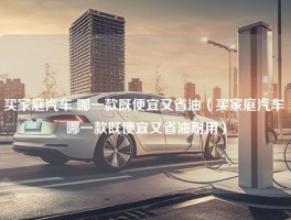 买家庭汽车 哪一款既便宜又省油（买家庭汽车 哪一款既便宜又省油耐用）