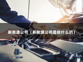 新能源公司（新能源公司是做什么的）