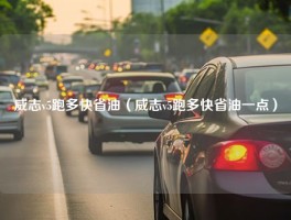 威志v5跑多快省油（威志v5跑多快省油一点）