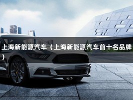 上海新能源汽车（上海新能源汽车前十名品牌）