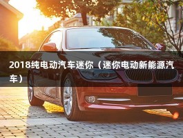 2018纯电动汽车迷你（迷你电动新能源汽车）