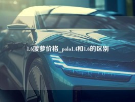 1.6菠萝价格_polo1.4和1.6的区别