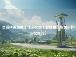 君威精英版属于什么配置（君威精英版属于什么配置的）