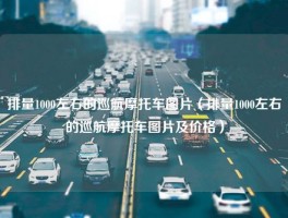 排量1000左右的巡航摩托车图片（排量1000左右的巡航摩托车图片及价格）