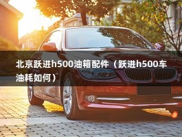 北京跃进h500油箱配件（跃进h500车油耗如何）