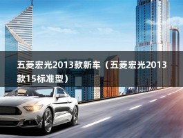 五菱宏光2013款新车（五菱宏光2013款15标准型）