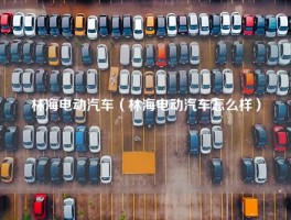 林海电动汽车（林海电动汽车怎么样）