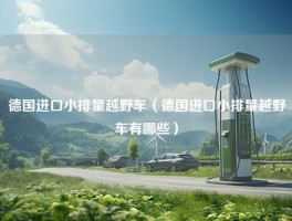 德国进口小排量越野车（德国进口小排量越野车有哪些）