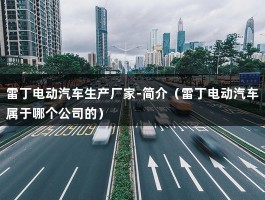 雷丁电动汽车生产厂家-简介（雷丁电动汽车属于哪个公司的）