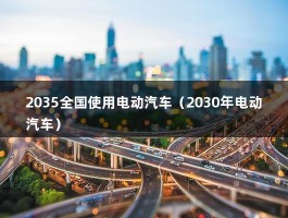 2035全国使用电动汽车（2030年电动汽车）