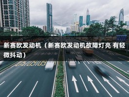 新赛欧发动机（新赛欧发动机故障灯亮 有轻微抖动）