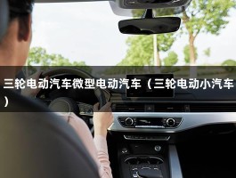 三轮电动汽车微型电动汽车（三轮电动小汽车）