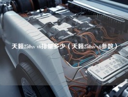 天籁250xv v6排量多少（天籁250xv v6参数）