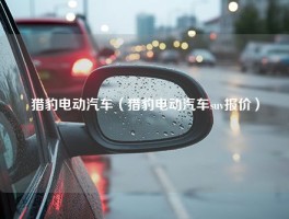 猎豹电动汽车（猎豹电动汽车suv报价）