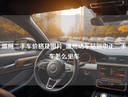 温州二手车价格及图片_温州动车站到中正二手车怎么坐车