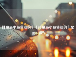 排量最小最省油的车（排量最小最省油的车是哪一款）