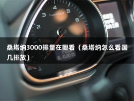 桑塔纳3000排量在哪看（桑塔纳怎么看国几排放）