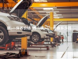 新polo保养价格_养一辆polo一年要多少钱