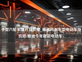 小型六轮车图片及价格_雅迪所有车型电动车及价格(雅迪今年新款电动车)