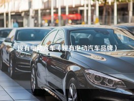 现有电动汽车（现有电动汽车品牌）