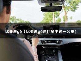 比亚迪g6（比亚迪g6油耗多少钱一公里）