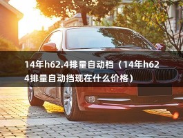 14年h62.4排量自动档（14年h624排量自动挡现在什么价格）